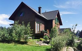 Apartament Zielone Okiennice