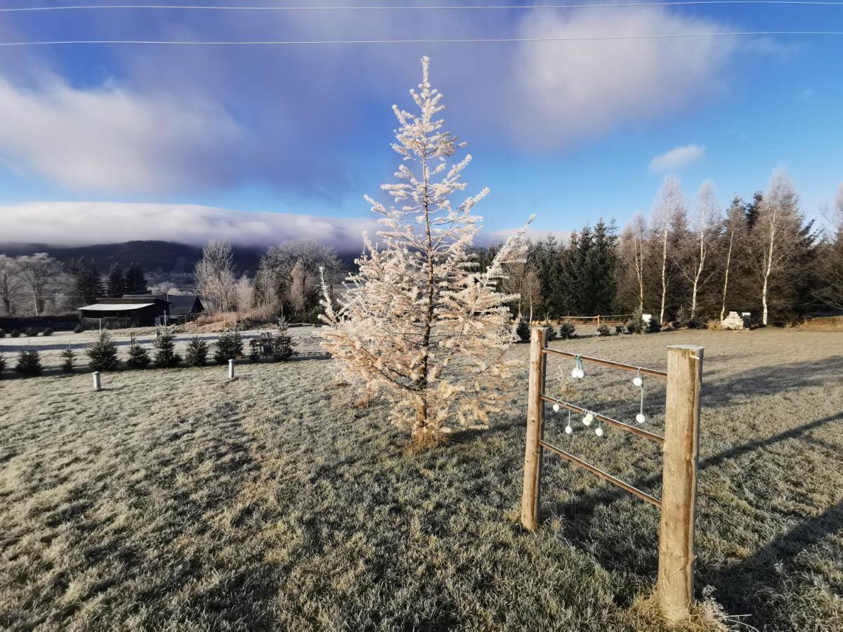 Apartament Zielone Okiennice Lasowka Exteriér fotografie